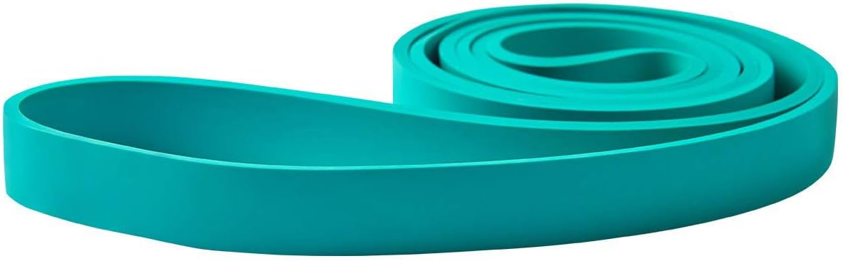 WEEZZUN Resistance Bands, Pull Up Bands, Pull Up Assist Band Exercise Bands for Men & Women Working Out, Body Stretching, Physical Therapy, Muscle Training